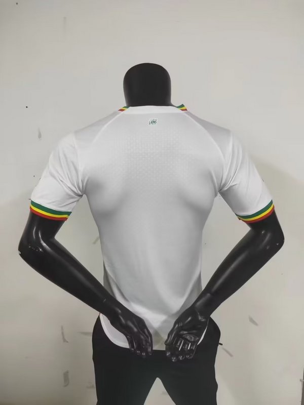 2022 Senegal home